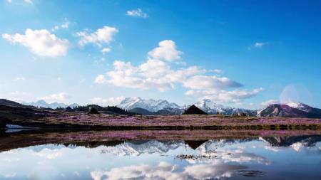 Žafrani in sončno vreme na Veliko planino privabili rekordno število obiskovalcev 1